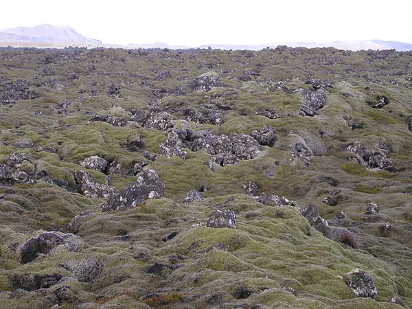 chn_island_044