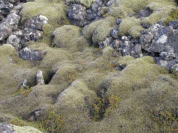 chn_island_045